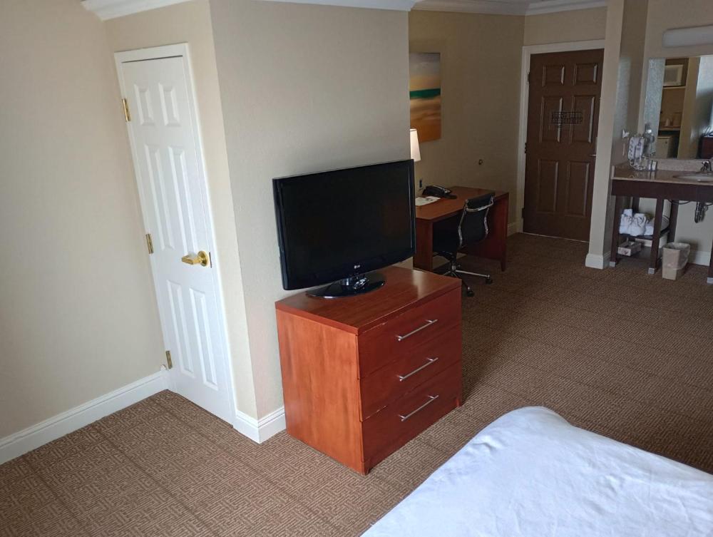 Deluxe King Suite interior